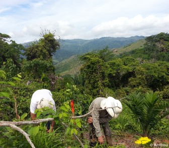 Trabajadores