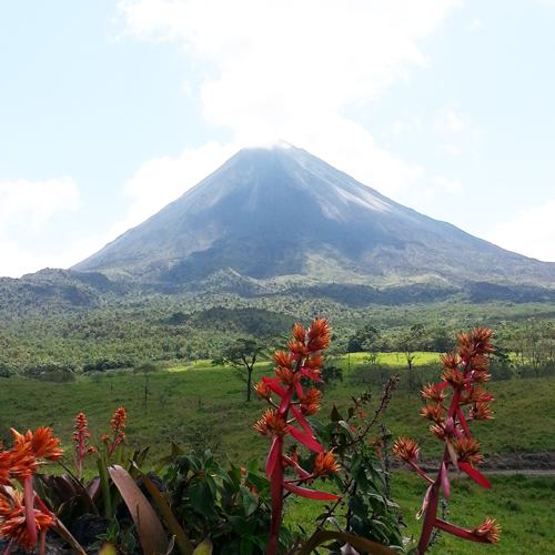 Volcanes y Bosque